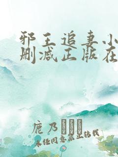 邪王追妻小说无删减正版在线阅读