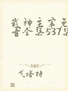 武神主宰免费观看全集537集