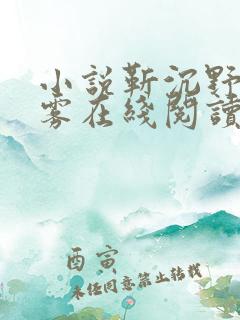 小说靳沉野唐栖雾在线阅读