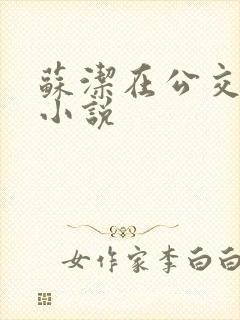 苏洁在公交车上小说