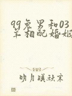 99兔男和03羊相配婚姻如何