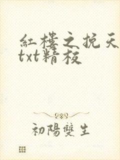 红楼之挽天倾无txt精校