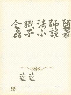 全职法师堕落小磊子小说最新章节