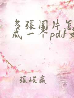多张图片怎么存成一个pdf文件