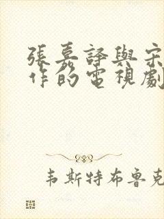 张嘉译与宋佳合作的电视剧有哪些