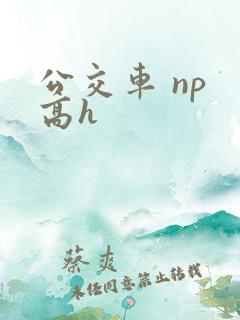 公交车 np 高h