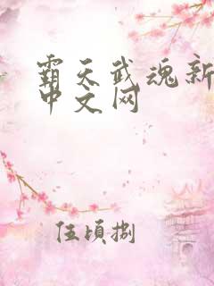 霸天武魂新八一中文网