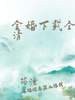 金婚下载全集高清