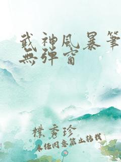武神风暴笔趣阁无弹窗