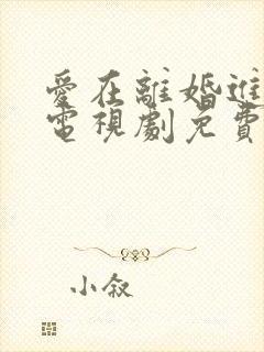 爱在离婚进行时电视剧免费观看全集在线播放