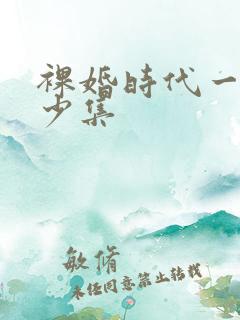 裸婚时代一共多少集