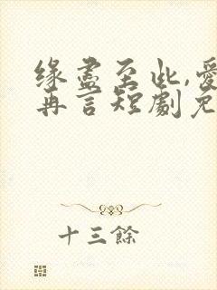 缘尽至此,爱不再言短剧免费