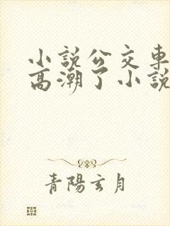 小说公交车被上高潮了小说