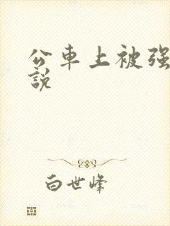 公车上被强上小说