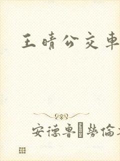 王晴公交车