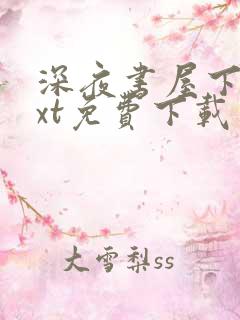 深夜书屋下载txt免费下载
