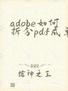 adobe如何拆分pdf成单页