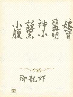 小说神医娘亲之腹黑小萌宝