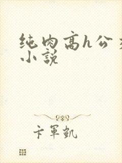 纯肉高h公交车小说