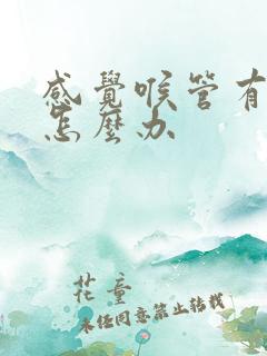 感觉喉管有异物怎么办