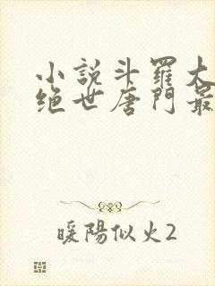 小说斗罗大陆2绝世唐门最新章节列表