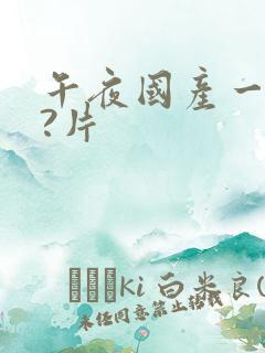 午夜国产一级??片