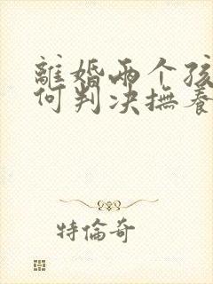 离婚两个孩子如何判决抚养权