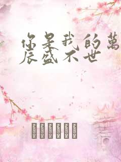 你是我的万千星辰盛不世
