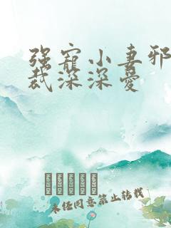 强宠小妻邪性总裁深深爱