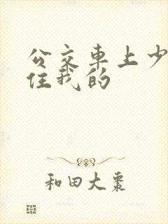 公交车上少妇握住我的