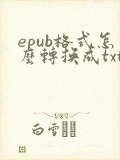 epub格式怎么转换成txt