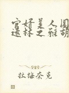 官婿美人图陈志远林之雅胡云梅