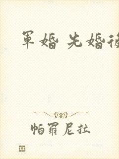 军婚 先婚后爱