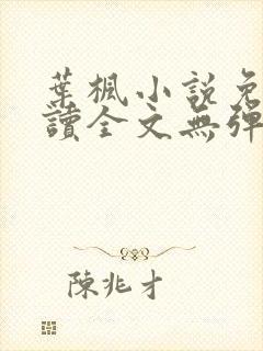 叶枫小说免费阅读全文无弹窗最新