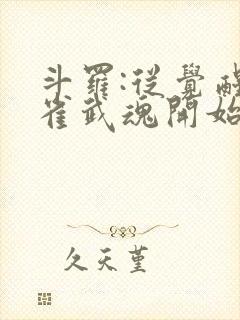 斗罗:从觉醒朱雀武魂开始 子不语1