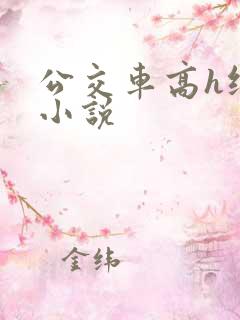 公交车高h纯肉小说