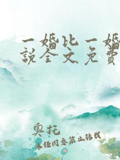 一婚比一婚高小说全文免费阅读