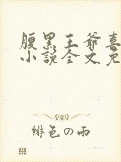 腹黑王爷喜当爹小说全文免费阅读