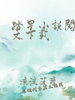 踏星小说阅读全文下载