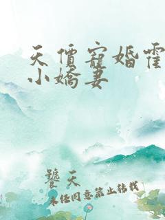 天价宠婚霍总是小娇妻