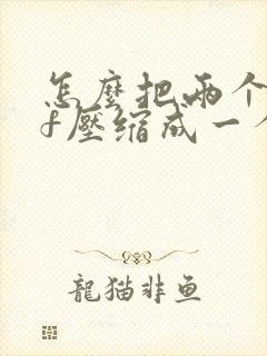 怎么把两个pdf压缩成一个压缩包