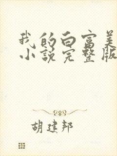 我的白富美老婆小说完整版