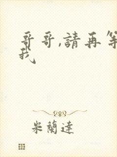 哥哥,请再等等我