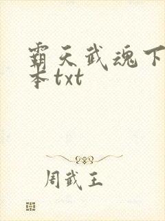 霸天武魂下载全本txt