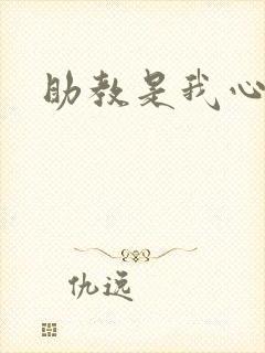 助教是我心尖宠