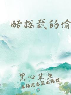 酷总裁的偷孕妻