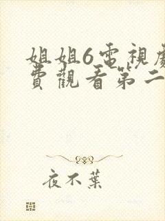 姐姐6电视剧免费观看第二季