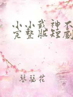 小小武神不好惹完整版短剧