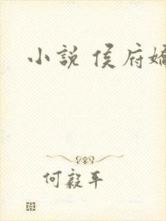 小说 侯府娇宠
