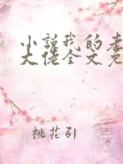 小说我的老公是大佬全文免费阅读